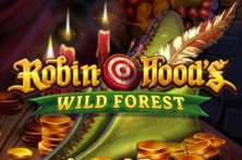 Robin Hood's Wild Forest