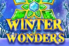 Winter Wonders