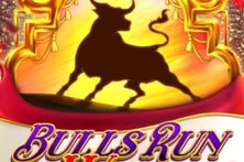 Bulls Run Wild