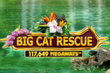 Big Cat Rescue MegaWays™