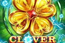 Clover Craze
