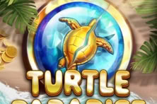 Turtle Paradise