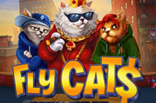 Fly Cat$ Dream Drop