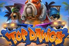 Top Dawg$