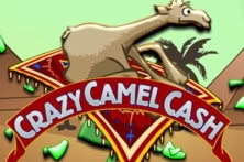 Crazy Camel Cash