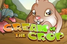 Cream of the Crop
