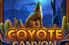 Coyote Canyon