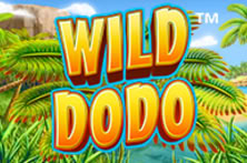 Wild Dodo
