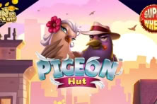 Pigeon Hut