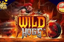 Wild Hogs