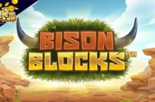 Bison Blocks