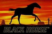Black Horse™