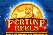 Fortune Reels