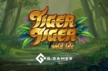 Tiger Tiger Wild Life
