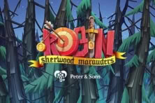 Robin - Sherwood Marauders