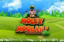 Moley Moolah!
