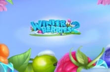 Winterberries 2