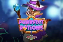 Purrfect Potions