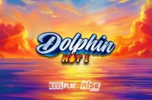 Dolphin Hot 1