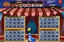 Bingo Circus