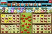 Bingo Hortinha
