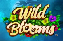 Wild Blooms