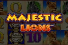 Majestic Lions