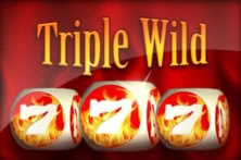 Triple Wild Dices