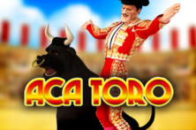 Aca Toro