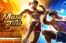 Muay Thai Champion