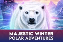 Majestic Winter – Polar Adventures