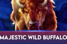 Majestic Wild Buffalo