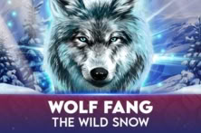 Wolf Fang – The Wild Snow