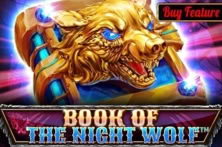 Book Of The Night Wolf