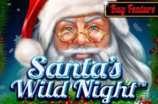 Santa’s Wild Night