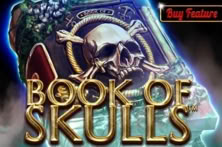 Book Of Skulls