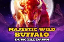 Majestic Wild Buffalo – Dusk Till Dawn