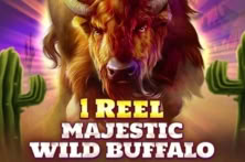 1 Reel – Majestic Wild Buffalo