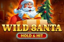 Wild Santa – Hold & Hit