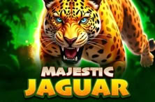 Majestic Jaguar