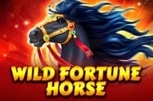Wild Fortune Horse