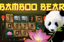 Bamboo Bear