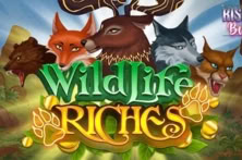 Wildlife Riches