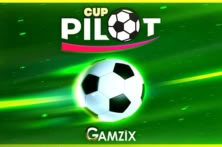 Pilot Cup