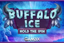 Buffalo Ice: Hold The Spin