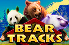 Bear Tracks 9621