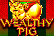 Wealthy Pig 9619
