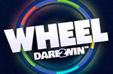 Wheel 96