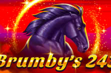 Brumby's 243