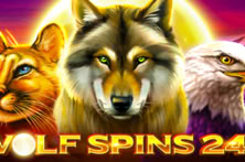 Wolf Spins 243